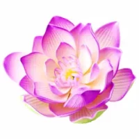 Nam Farmers : Social Agri App