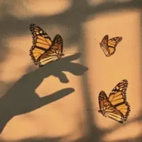 aesthetic wallpapers themes