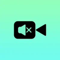 VSilencer - Remove Audio