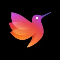 Collage Maker &amp; Story Template