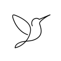 Muse - Video &amp; Stories Editor