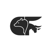 Clarify Forex, MT4 & MT5