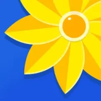 MagicAI Gallery: Photo &amp; Video