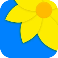 Bộ sưu tập - Album ảnh