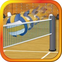 Spike the Volleyballs